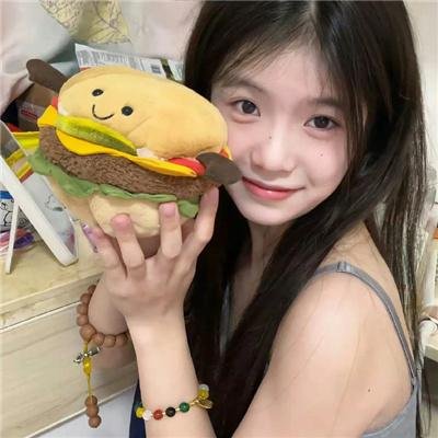 大贼与金丝猫